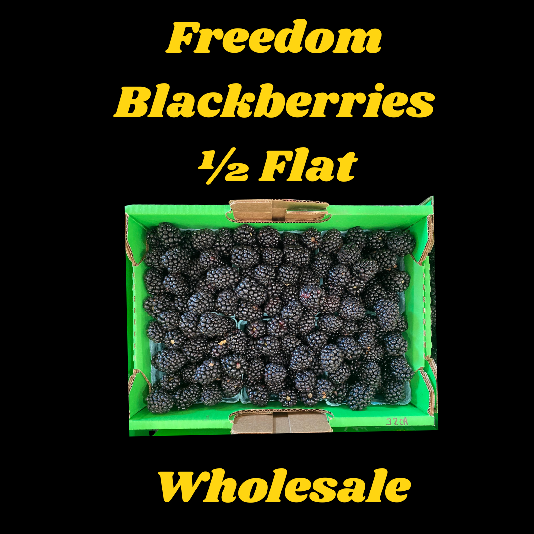 Freedom Blackberry Wholesale