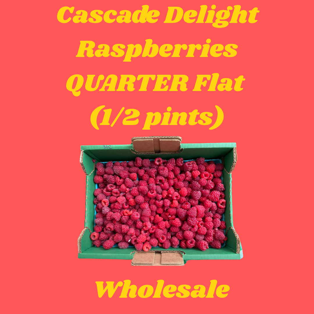 Cascade Delight Raspberry Wholesale (1/4 Flat)
