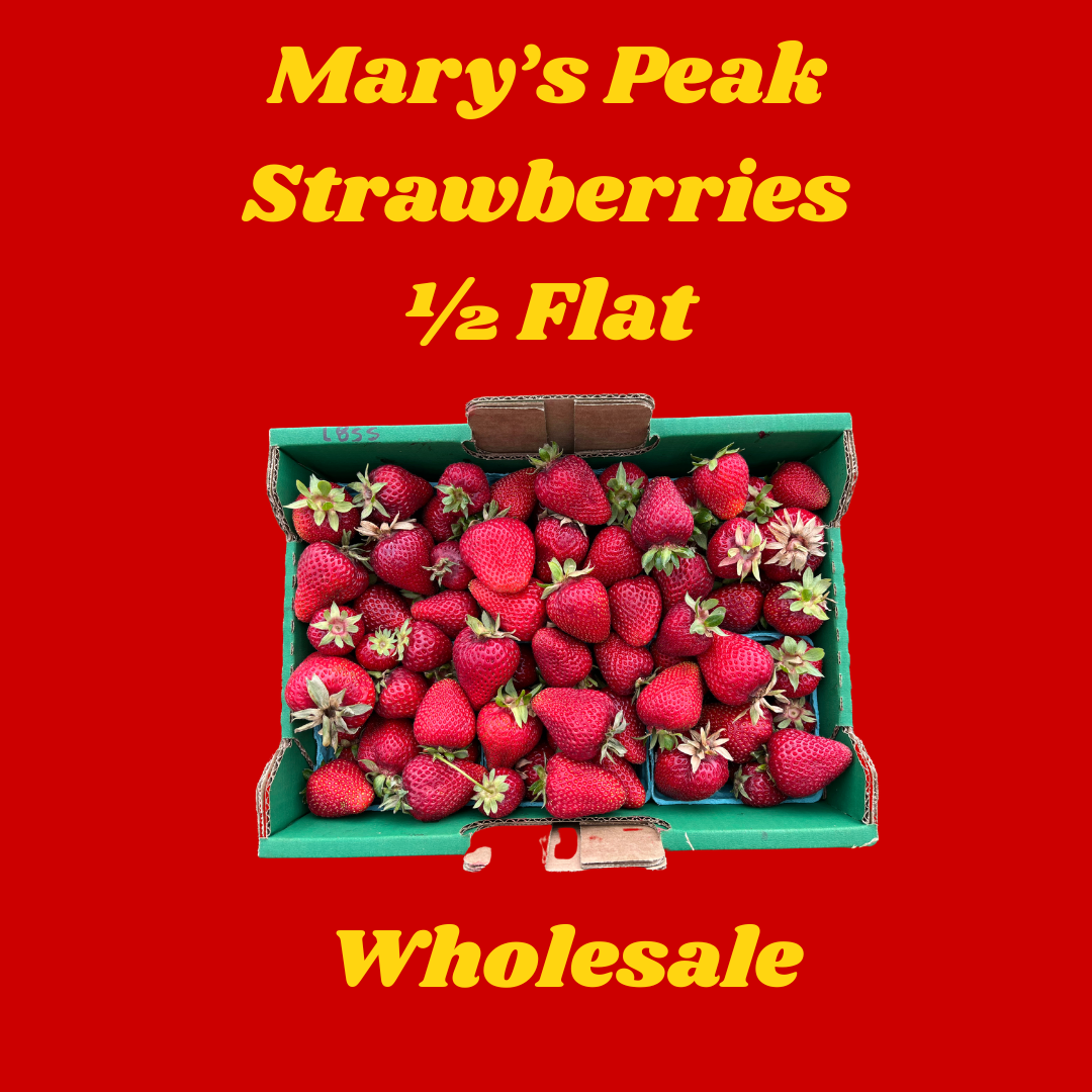 Mary's Peak Strawberry Wholesale