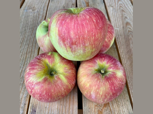 Honeycrisp Apples