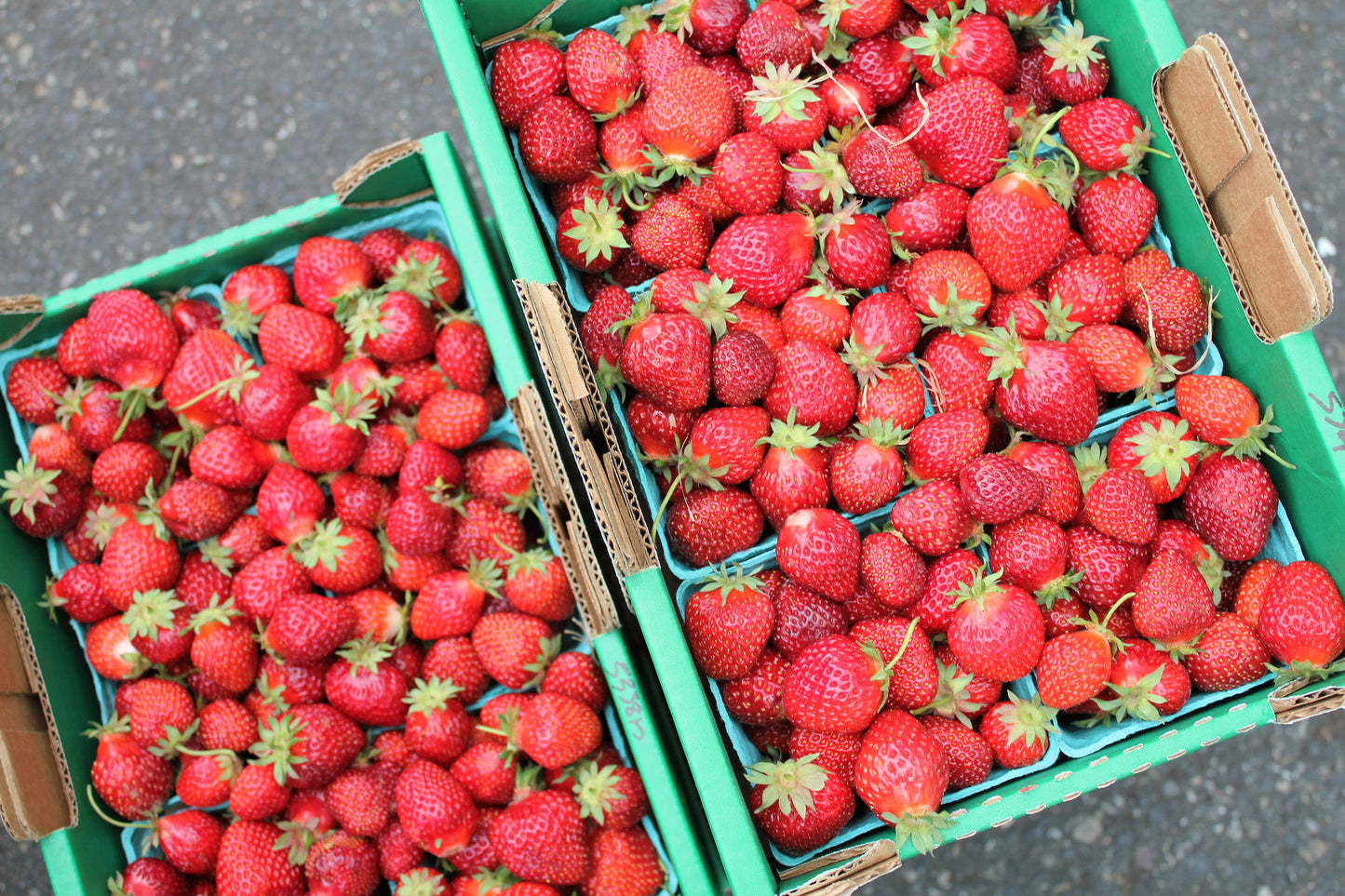 Strawberries - Delivered