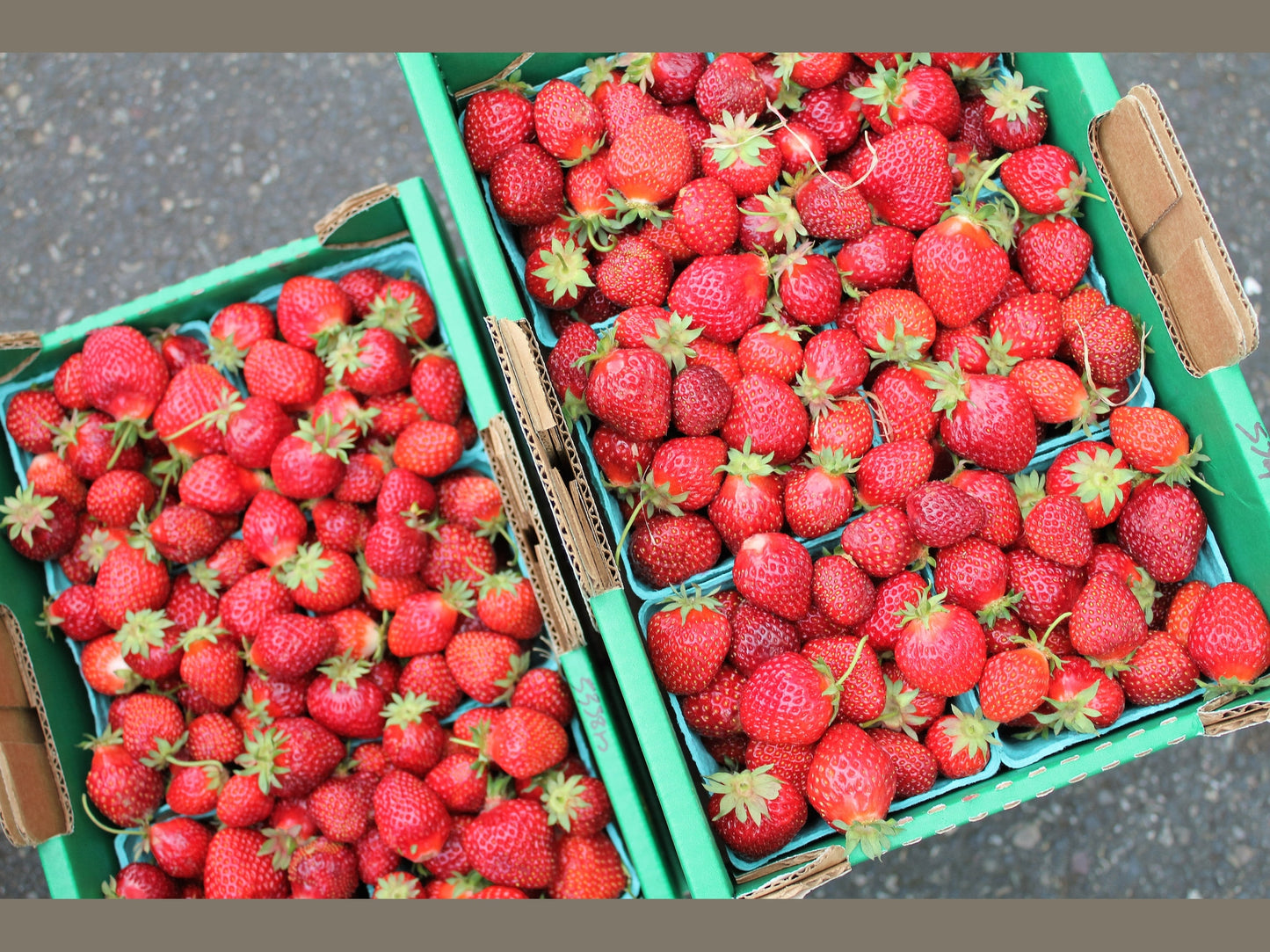 Strawberries - Delivered