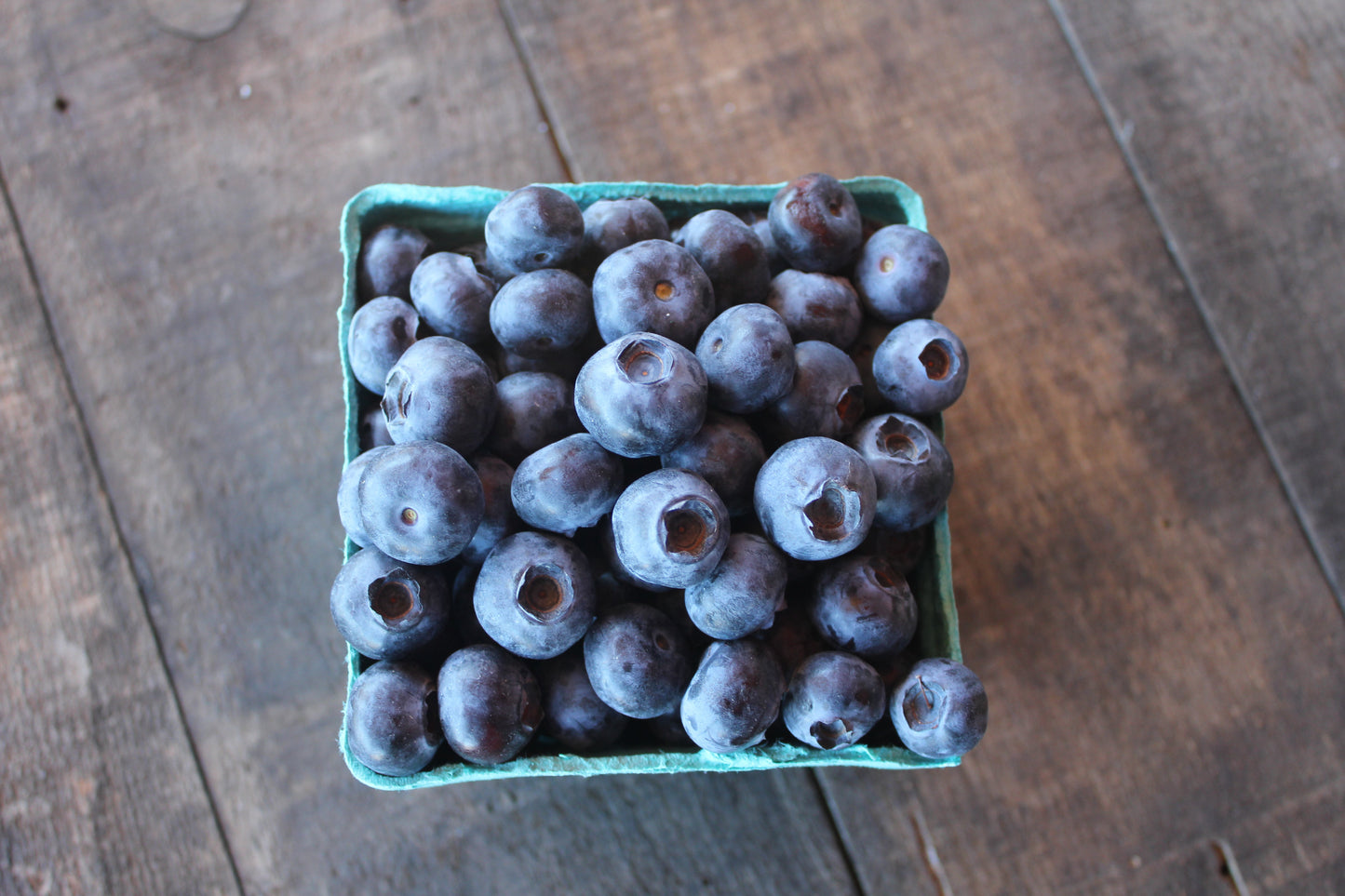 Blueberries - Delivered