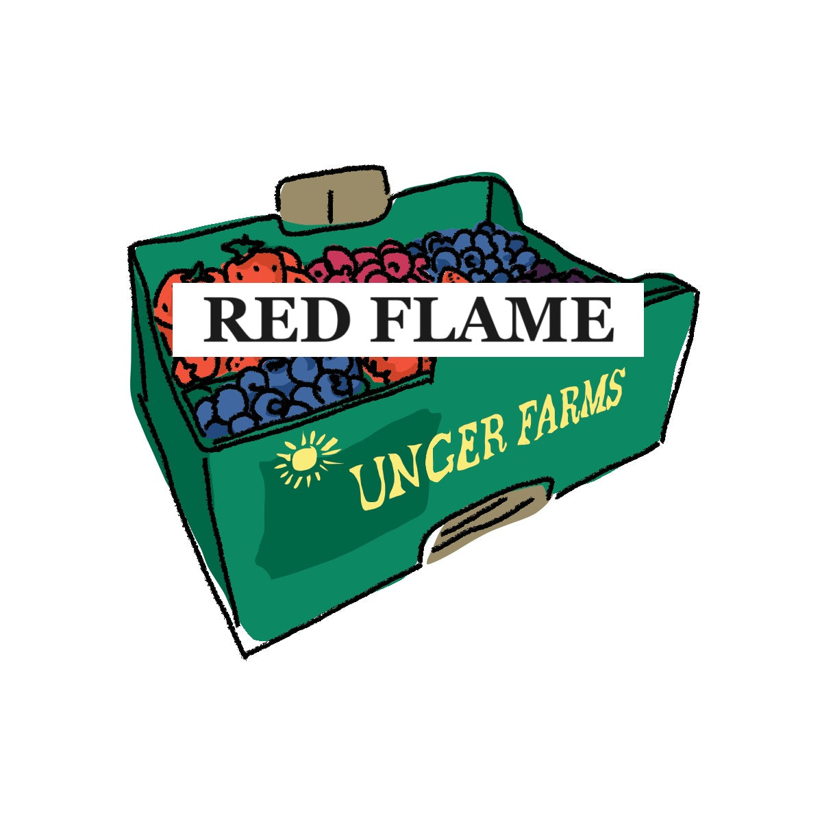Grape Red Flame 1/2 Flat