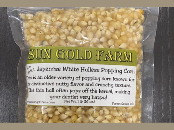 Robust Popping Corn (Sun Gold)
