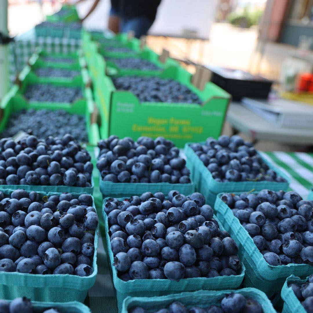 Blueberries - Delivered