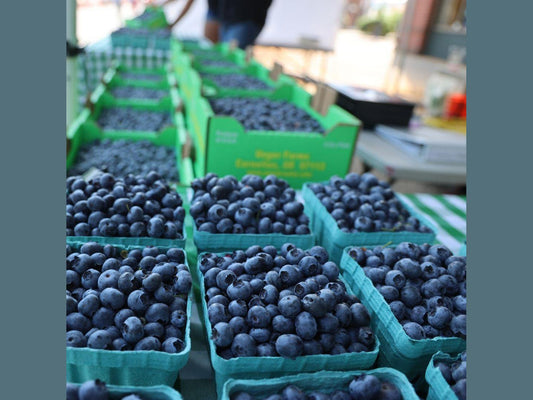 Blueberries - Delivered
