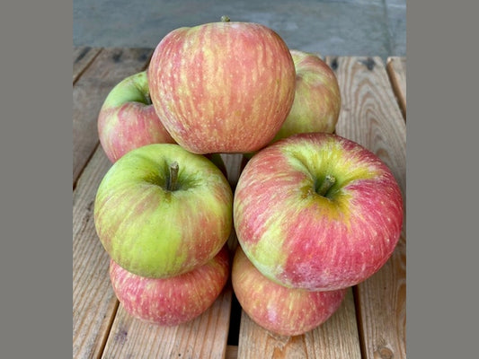 Honeycrisp Apples