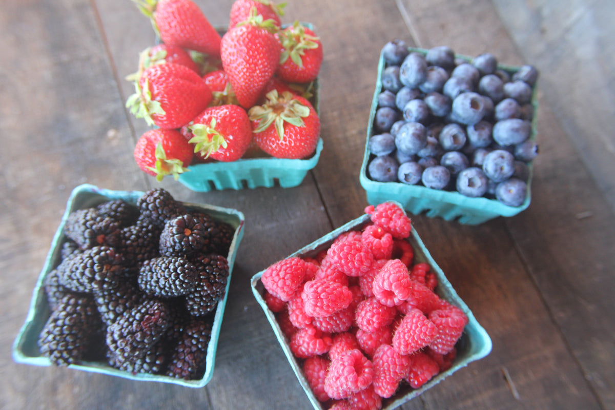 Special Delivery - Thursday 8/6 - Due to Heat