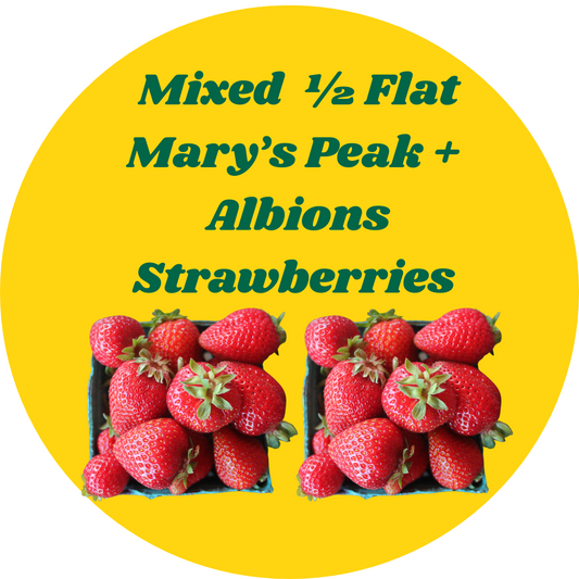 MIXED HALF FLAT: Mary's Peak + Albions Strawberries