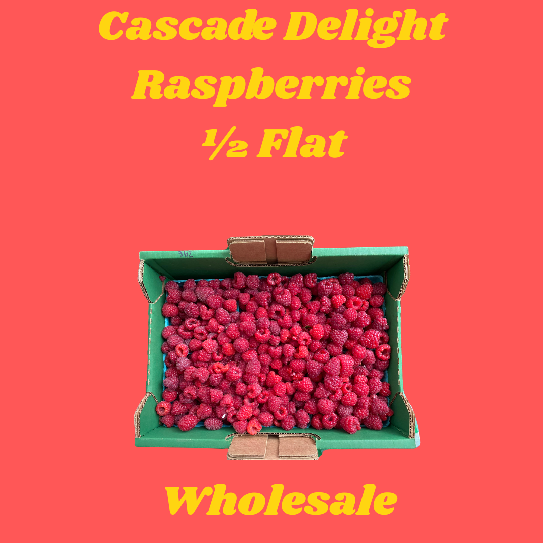Cascade Delight Raspberry Wholesale (1/2 Flat)
