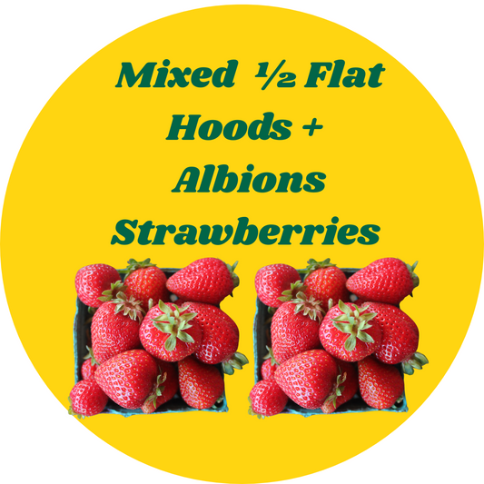 MIXED HALF FLAT: Hoods + Albions Strawberries