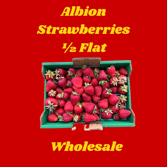 Albion Strawberry Wholesale