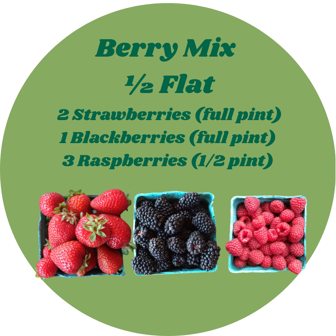 Berry Mix: Blackberries + Raspberries (2) + Strawberries
