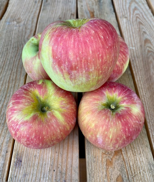 Honeycrisp Apples