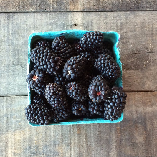 Blackberries - Delivered