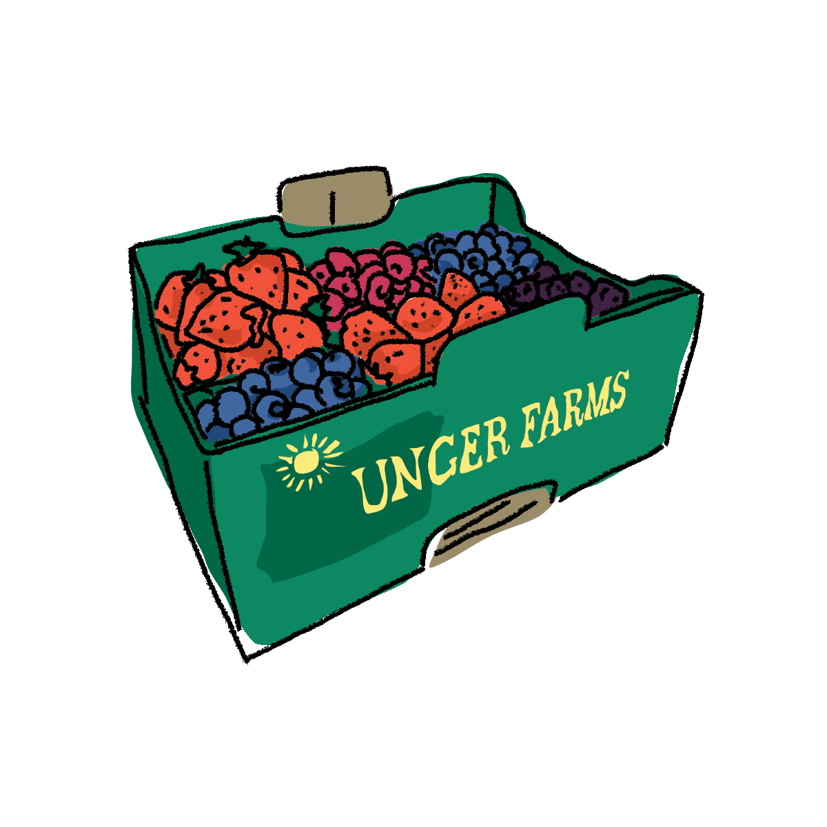 CSA Membership with Berry add on (Farm Pick-Up)