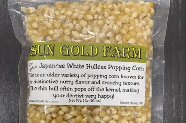 Robust Popping Corn (Sun Gold)