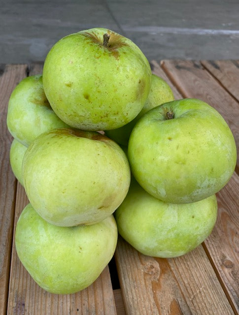 Gravenstein Apples