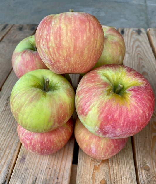 Honeycrisp Apples
