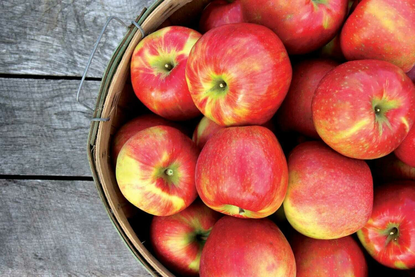 Farm Fresh Honeycrisp Apples