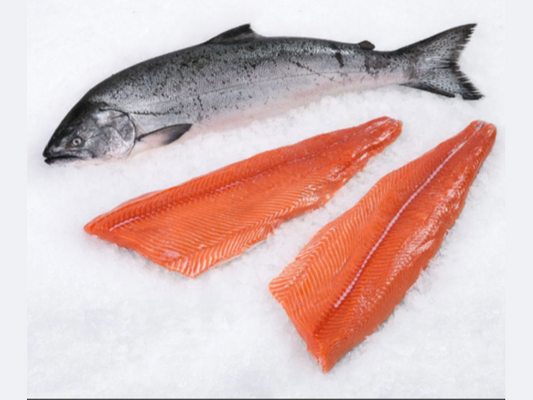 Chinook Salmon Frozen 6oz