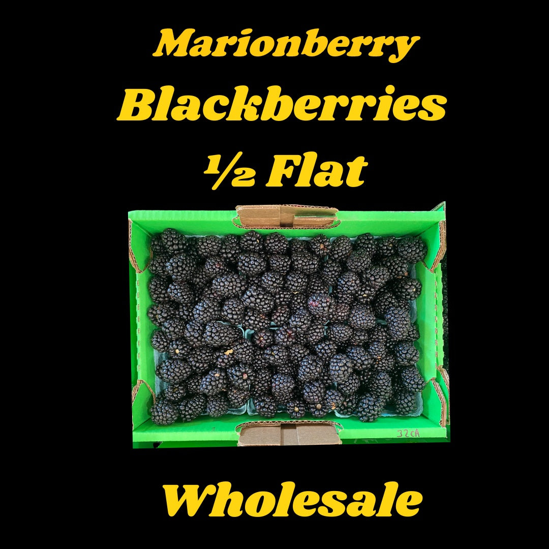 Marionberry Blackberry Wholesale